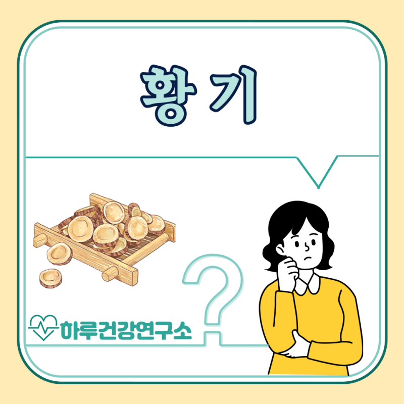 황기 효능 5가지, 부작용 : 황기차 효능, 마시는법은?