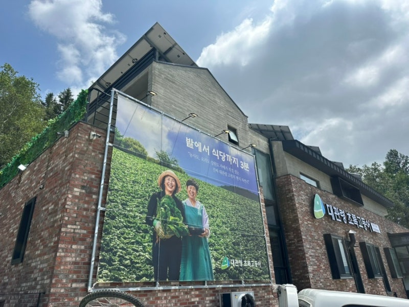 [채집통] 평창 맛집 대관령초록고등어 평창본점 내돈내산｜양떼목장 근처에서 찾은 존맛 생....