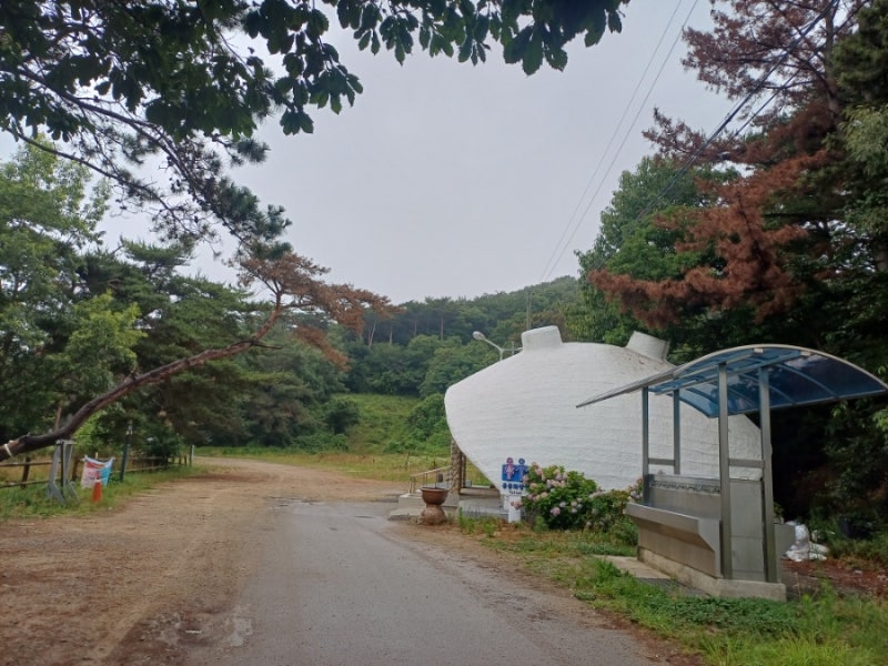 [서해해수욕장무료노지차박지추천]충남태안노지캠핑차박차크닉가능한 바람아래해수욕장