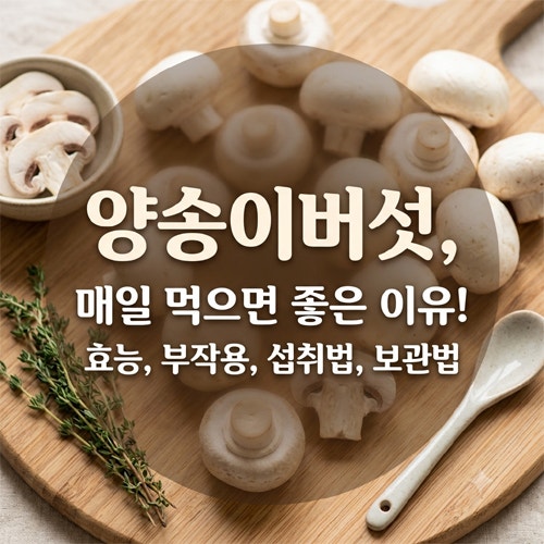 양송이버섯 효능 부작용 섭취법 보관법까지 알아보기