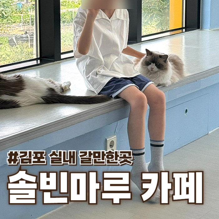 솔빈마루 사진 1