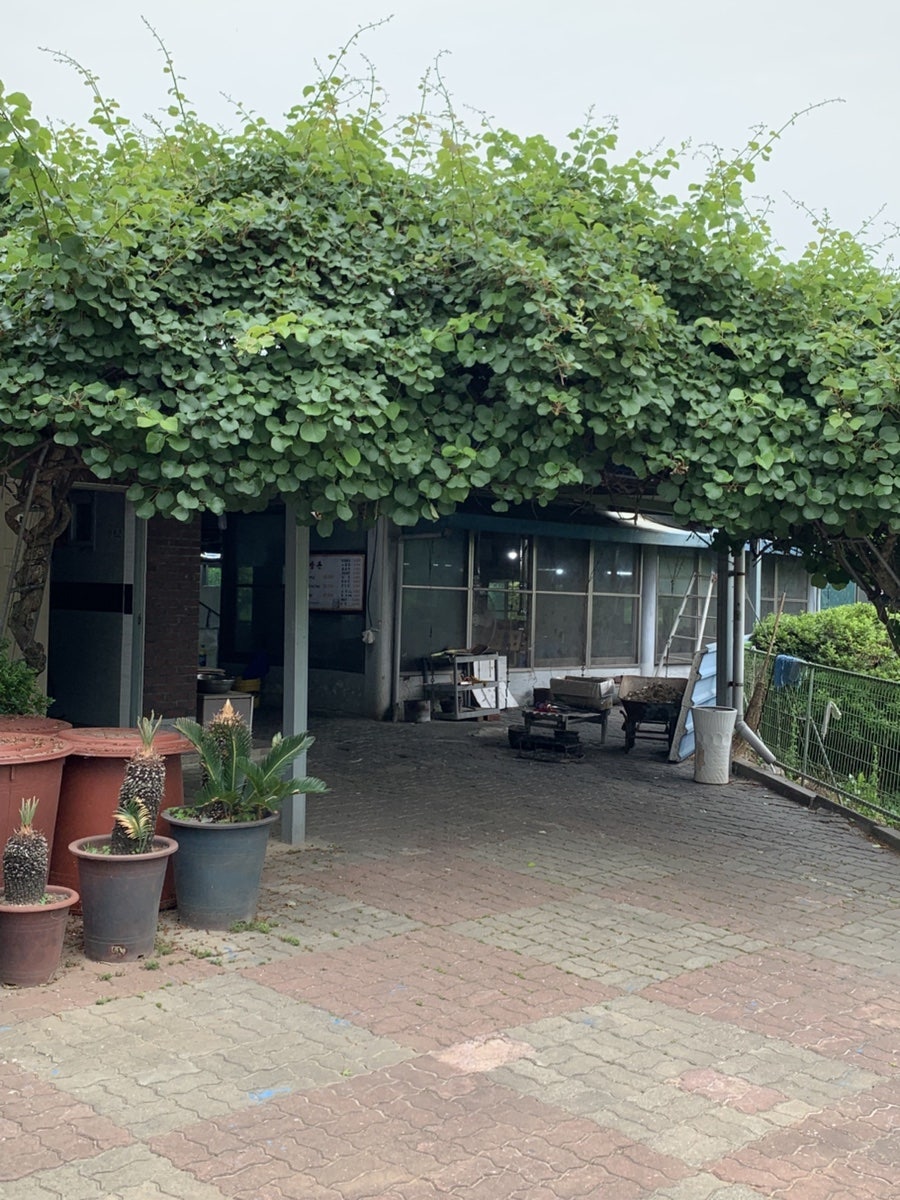 노방촌 사진 3