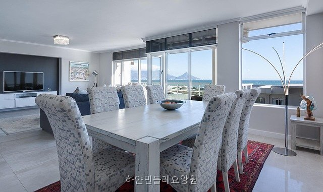민들레 사진 2