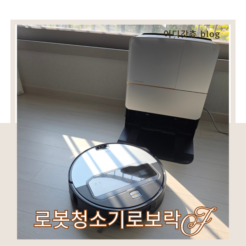 로보락 로봇청소기 추천 물걸레 솔직 리뷰