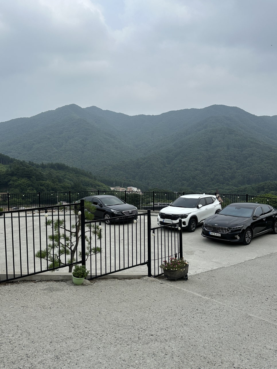 하이몽애견풀빌라펜션 사진 7
