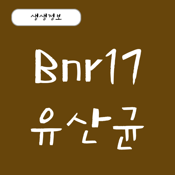 먹으면서 살 빼는 비엔알17 유산균 효능과 하루 섭취량