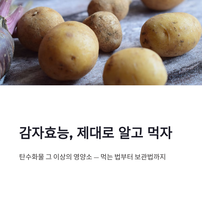 감자효능 제대로 보기, 당뇨 섭취법과 보관법까지 정리