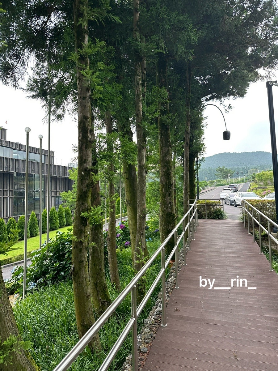 할매고등어쌈밥 함덕본점 사진 1