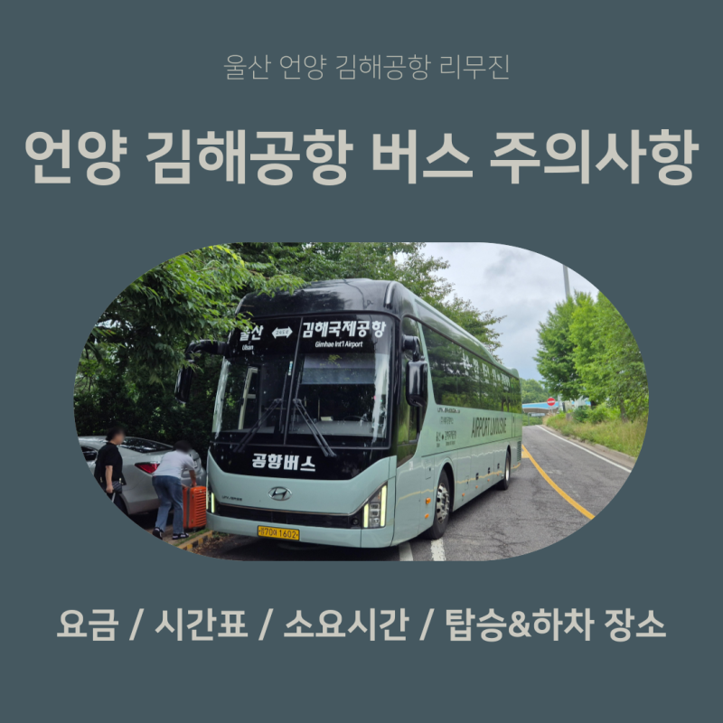 태화공항버스 울산 언양 김해공항 리무진 탑승시 주의사항