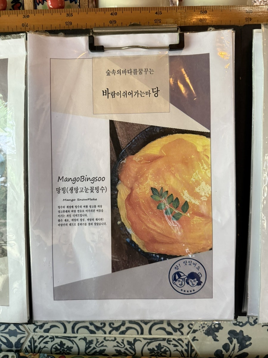 바당 사진 5