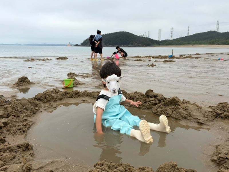 태안 학암포 맛집•숙소 [학암포바다회수산-칼국수,회덮밥][바다풍경카라반글램핑-8번 카라....