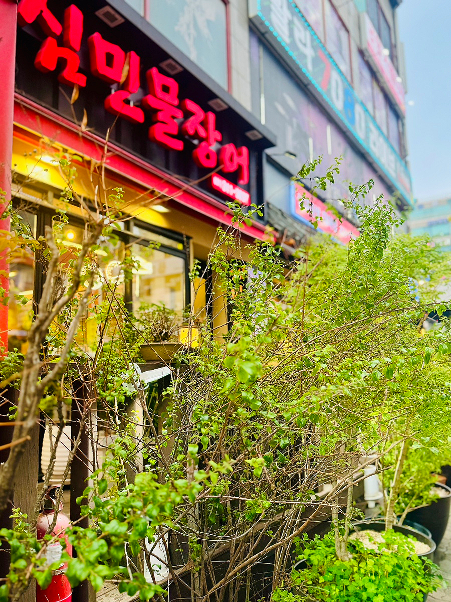 대야잔치국수 사진 2