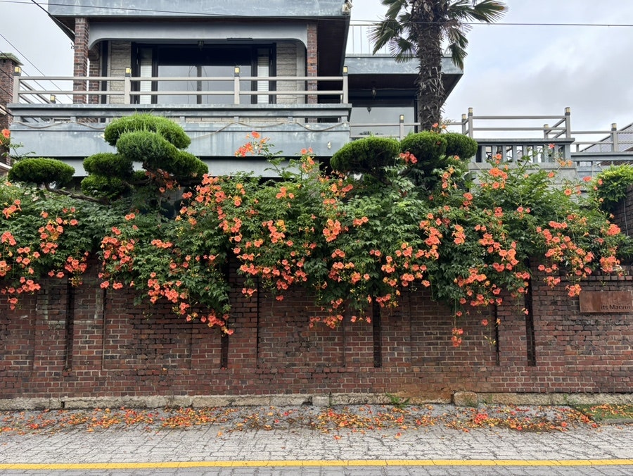 잇츠마빈 사진 5
