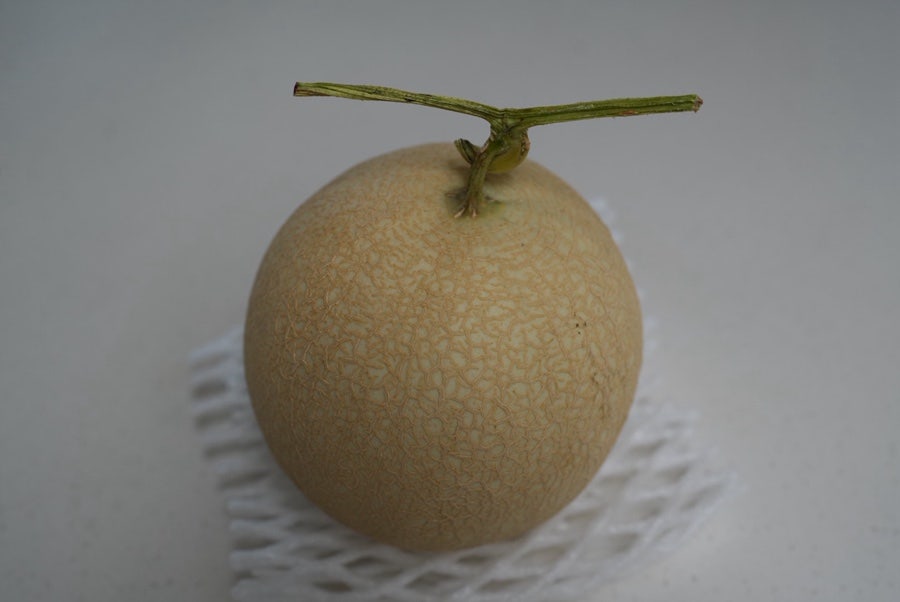 가향 사진 1