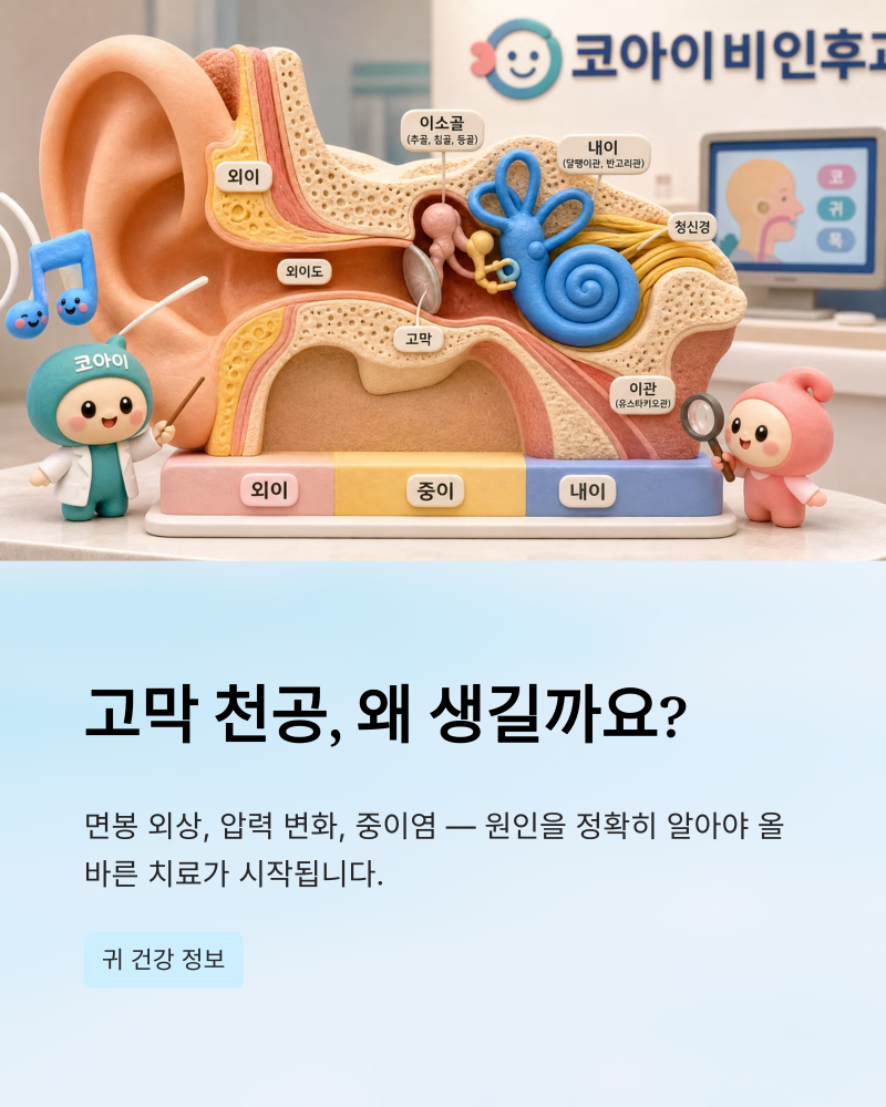 고막에 구멍이 뚫리는 고막 천공, 자연 치유될 확률과 수술 기준 (당진 코아이비인후과)