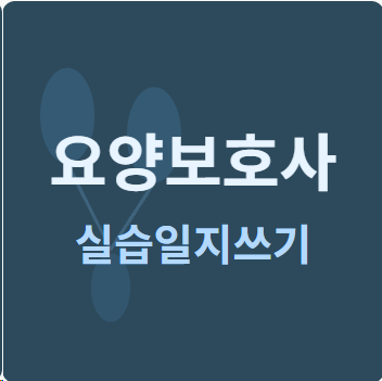 요양보호사 실습일지 쓰기 완벽가이드 치매·파킨슨·편마비 질환별 요양보호사실습일지쓰....