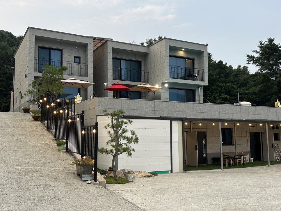 하이몽애견풀빌라펜션 사진 6