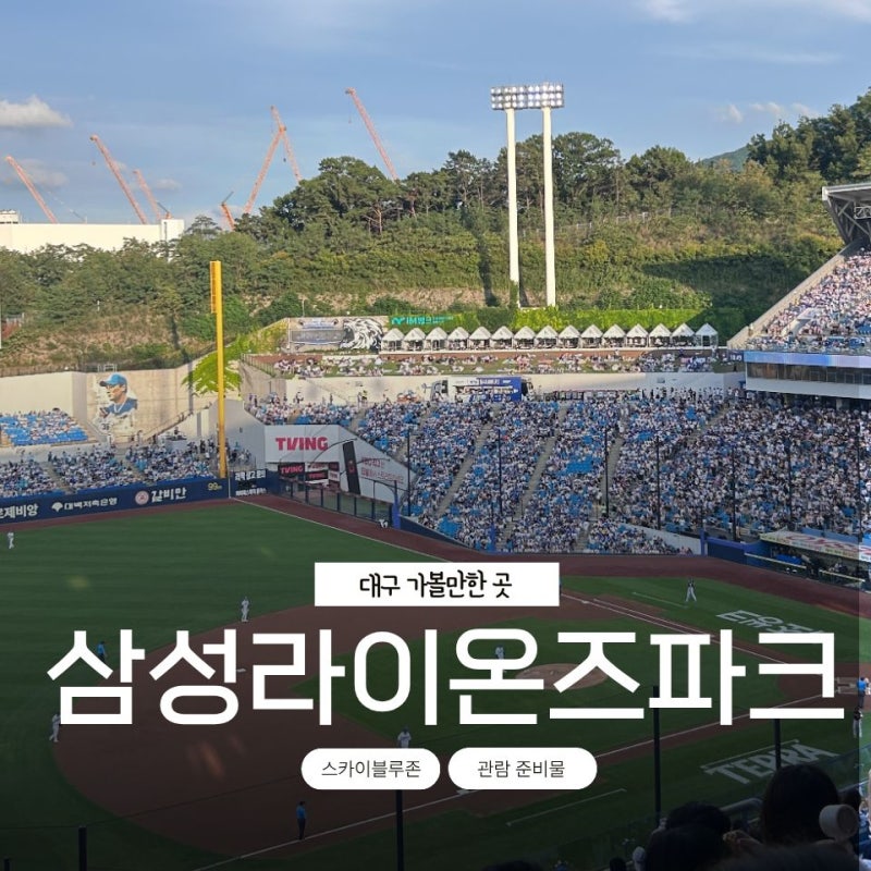 삼성 라이온즈파크 스카이 블루존 U-24구역 좌석 시야 후기