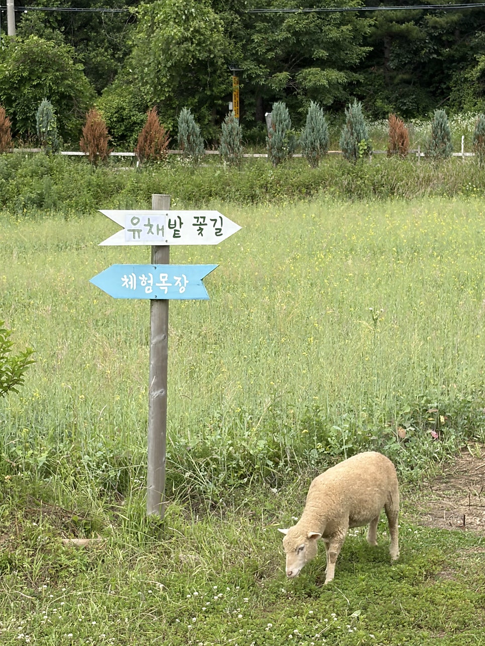 도선재 사진 3