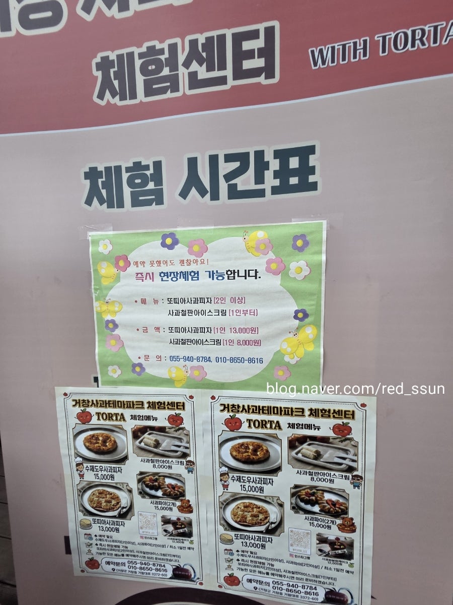 토르타 사진 2