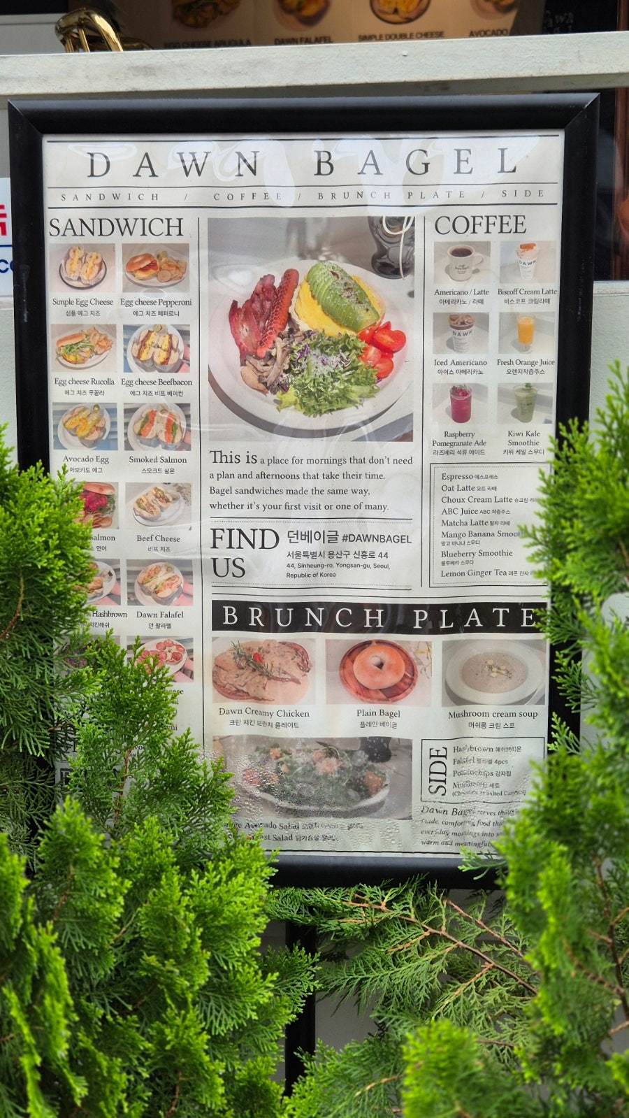 던베이글 사진 4