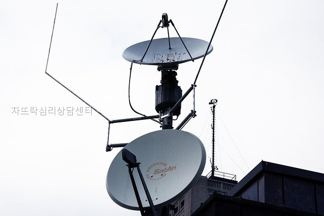 뜨락 사진 5