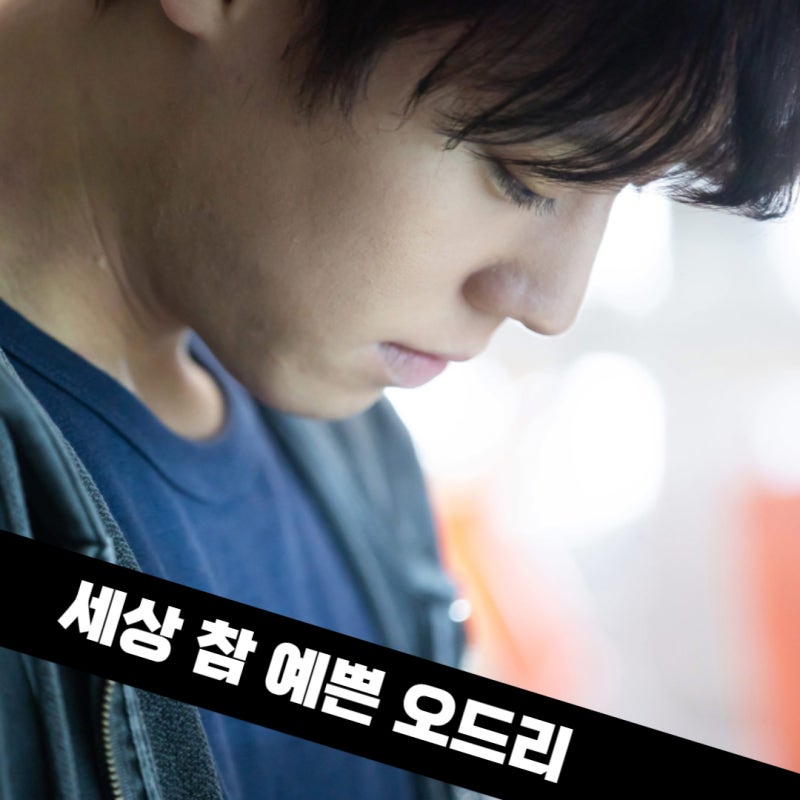 세상 참 예쁜 오드리, 단종오빠 박지훈이 지킨 엄마