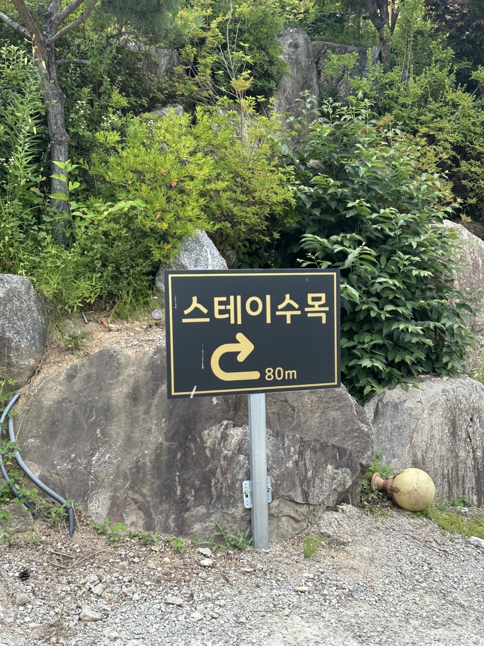 하이몽애견풀빌라펜션 사진 5