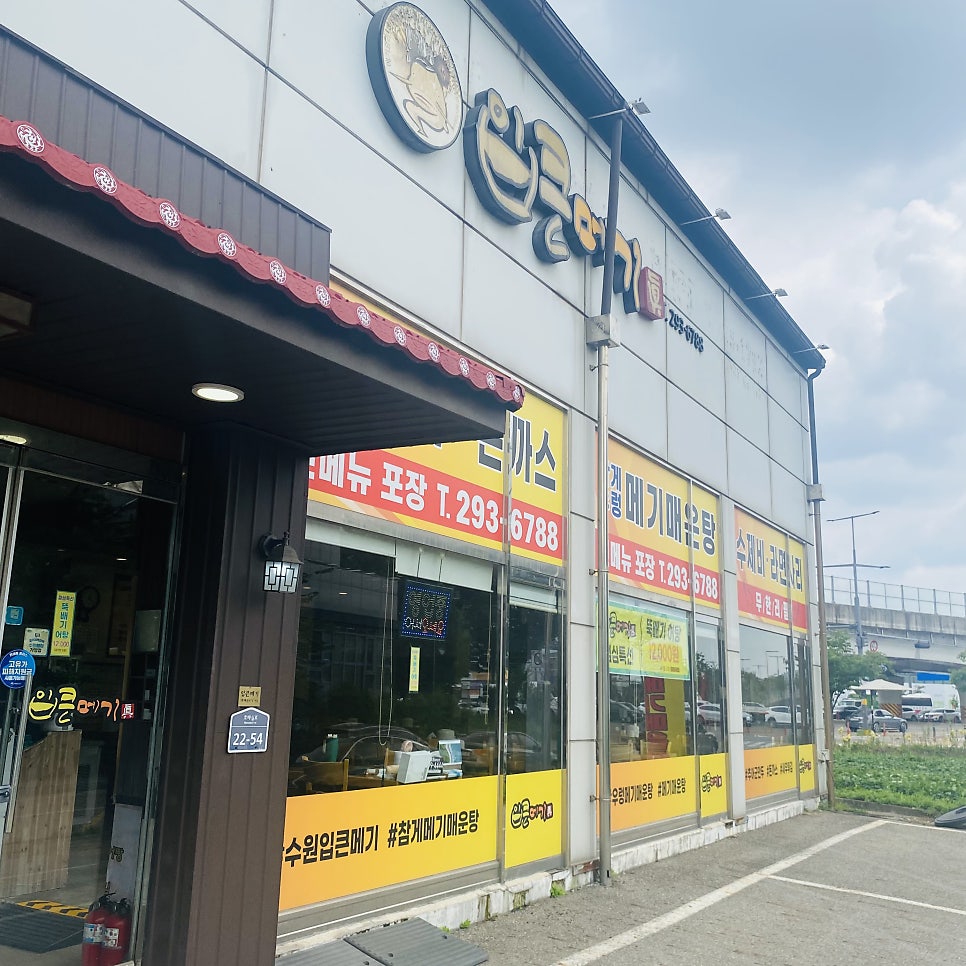 입큰메기 사진 3