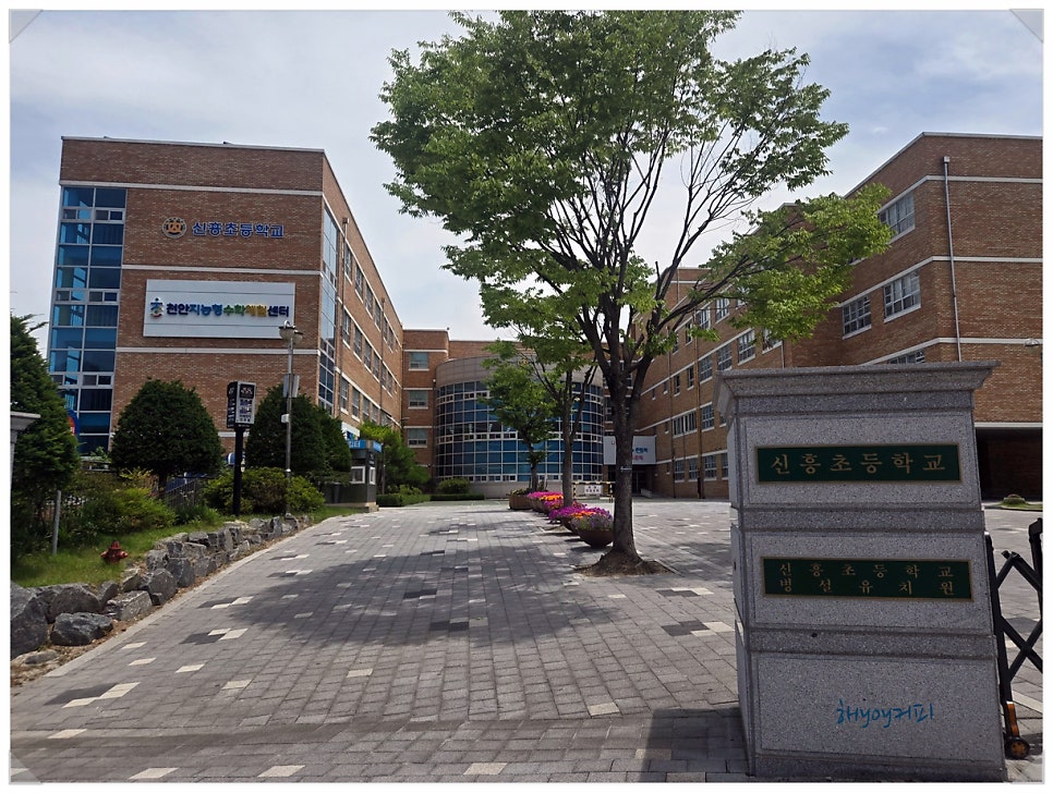 커피원 사진 2