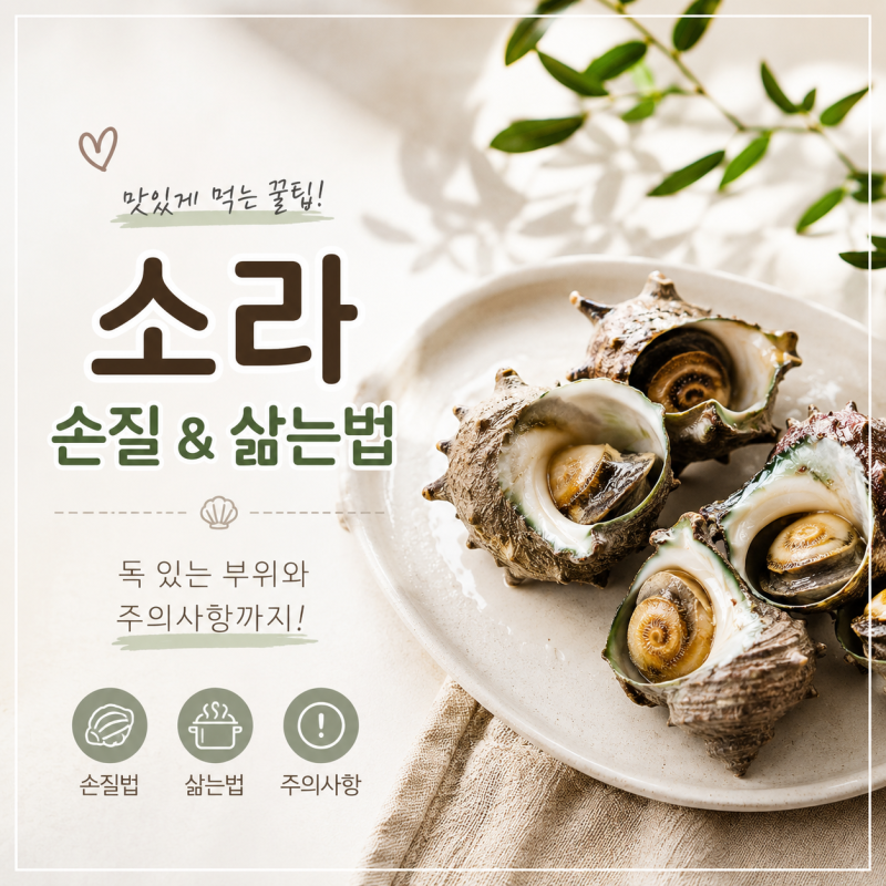 소라 삶는법, 손질법 완벽정리! 독 있는 부위와 주의사항까지