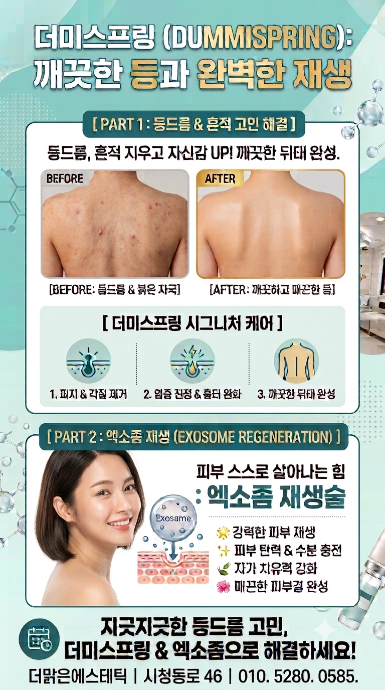 스프링 사진 1