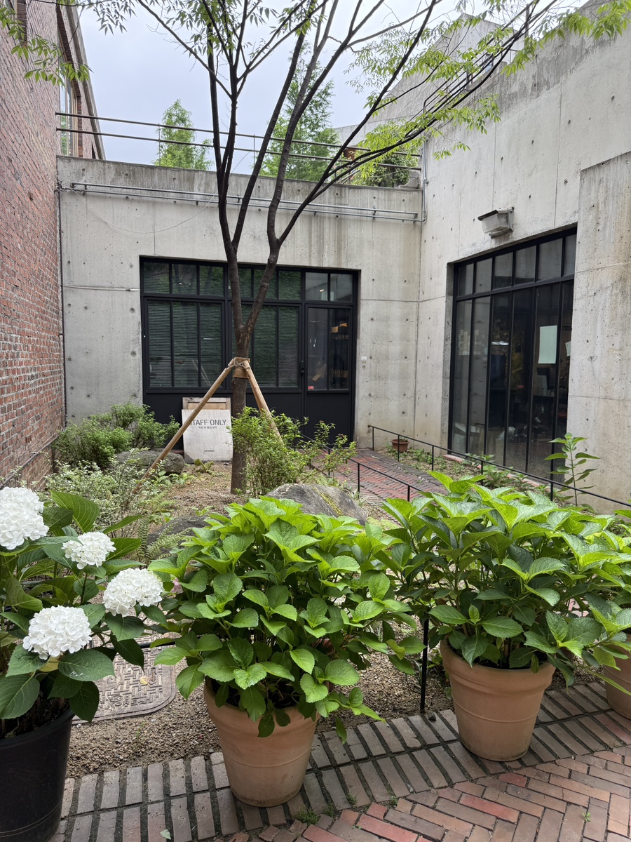 테라로사 임당점 사진 5
