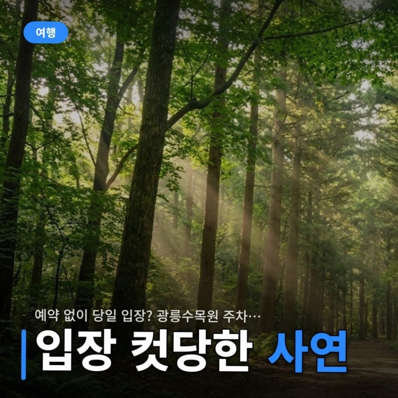 예약 없이 당일 입장? 광릉수목원 주차장 진입 팁과 코스