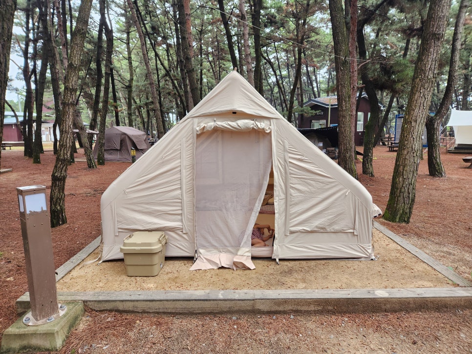 몽산포자동차야영장 사진 5