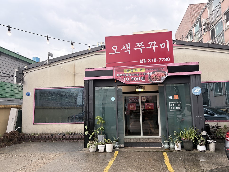 오색쭈꾸미 사진 2