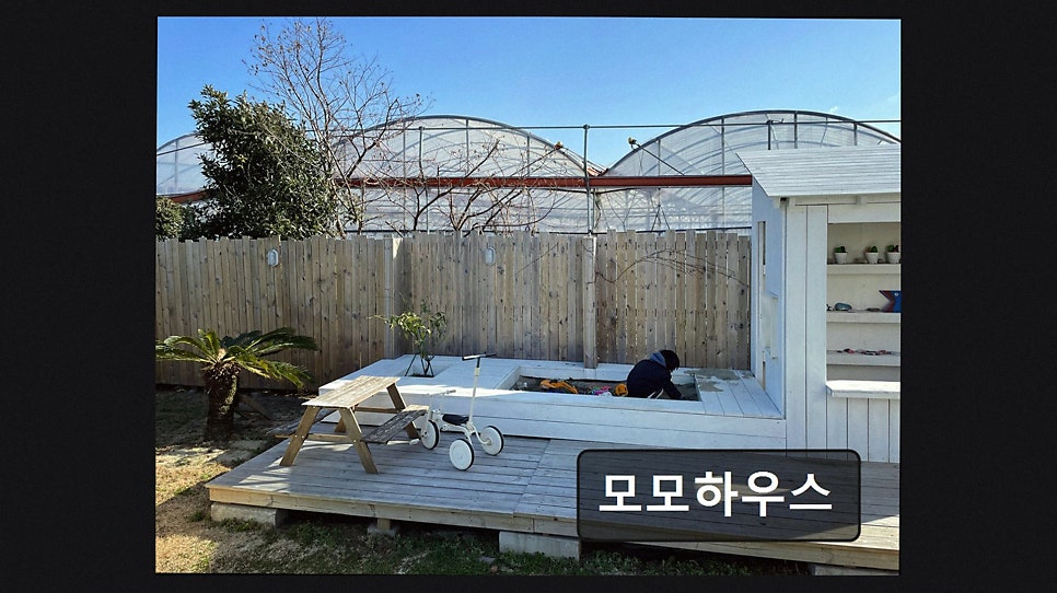 모모하우스 사진 5