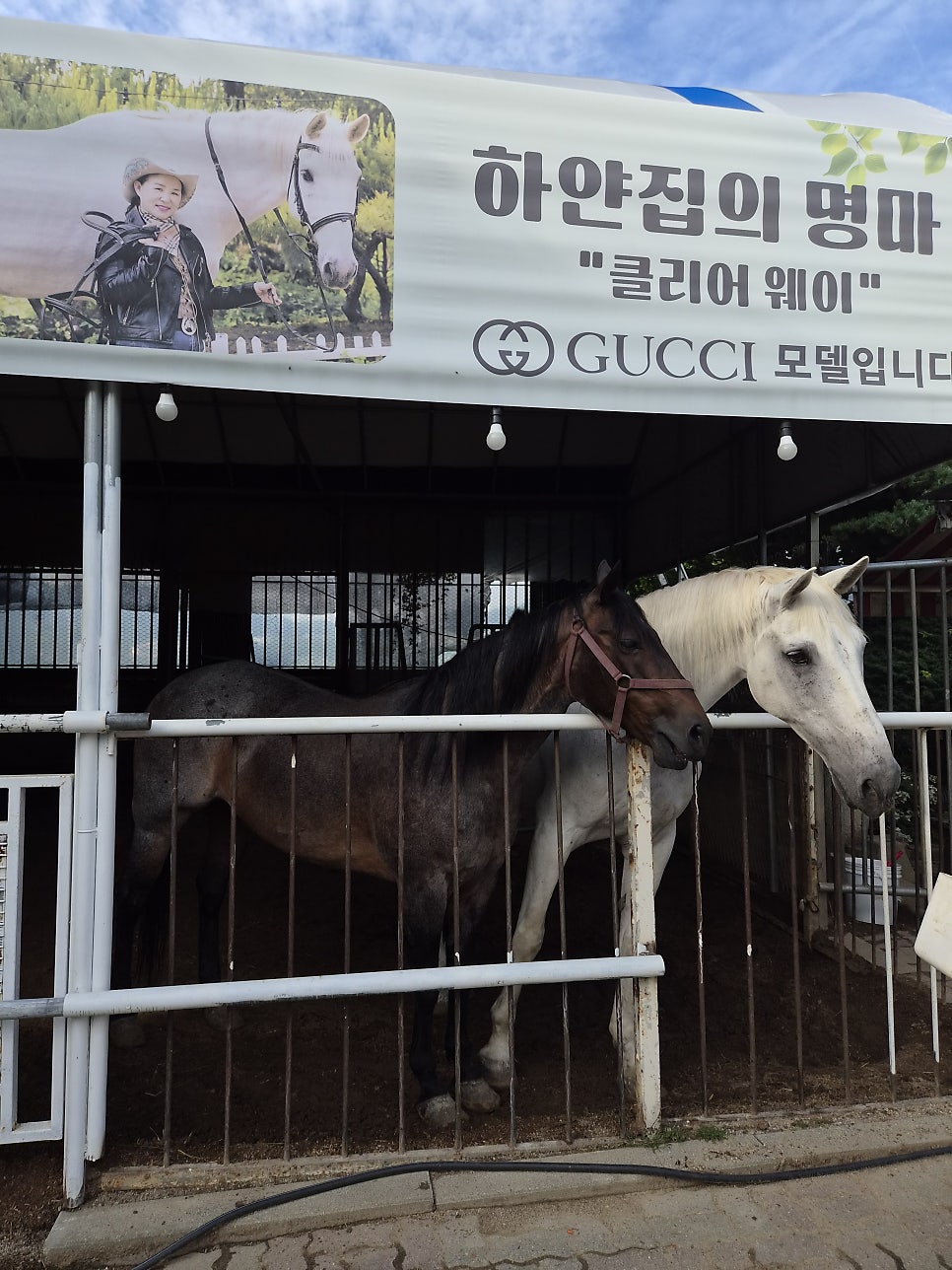 Hayanjip photo 3