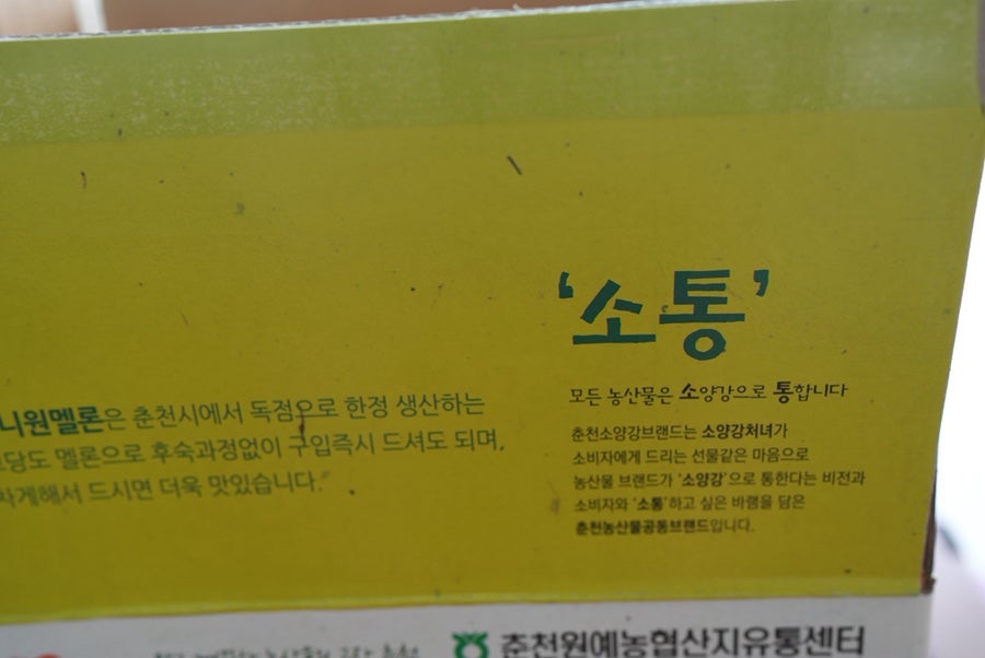 가향 사진 5