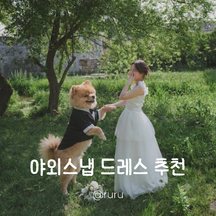 야외스냅 드레스 추천 | 가니송 로즈피오니 포마이시스 타프타 결혼 웨딩 스냅 드레스 후기 ....