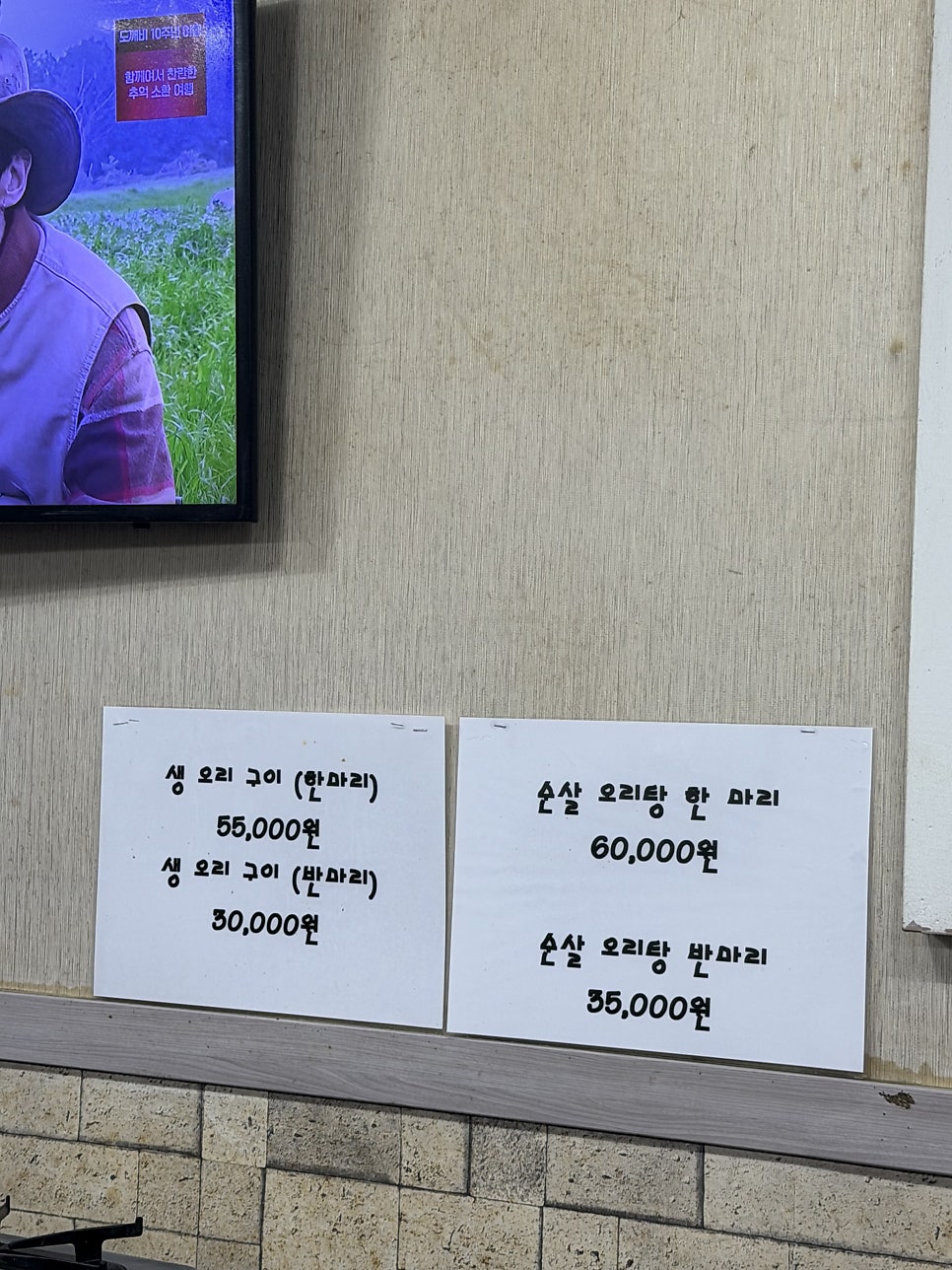 돈미가 사진 5