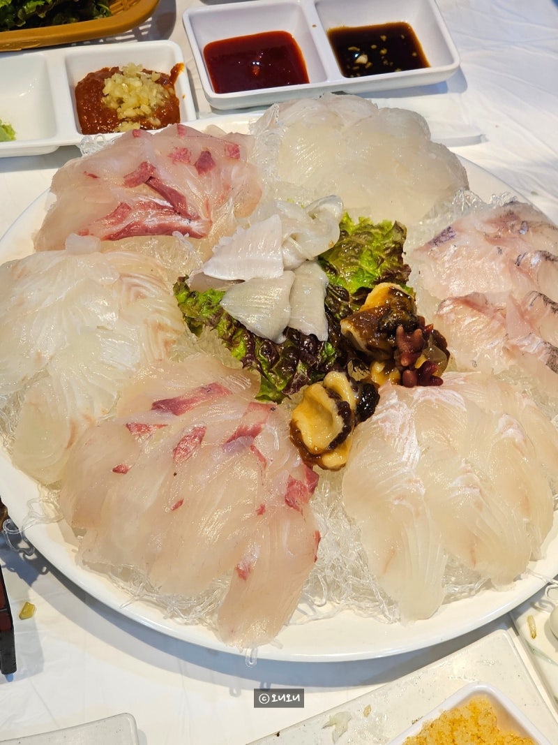 속초 횟집 파도소리ㅣ현지인도 찾는 모듬회 오징어회 맛집