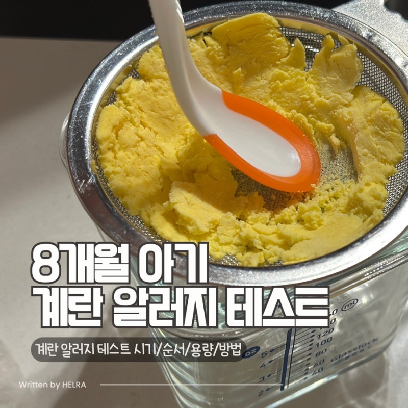 초기이유식 계란 알러지 테스트 시기 방법 노른자 흰자 냉동 큐브 소분 방법