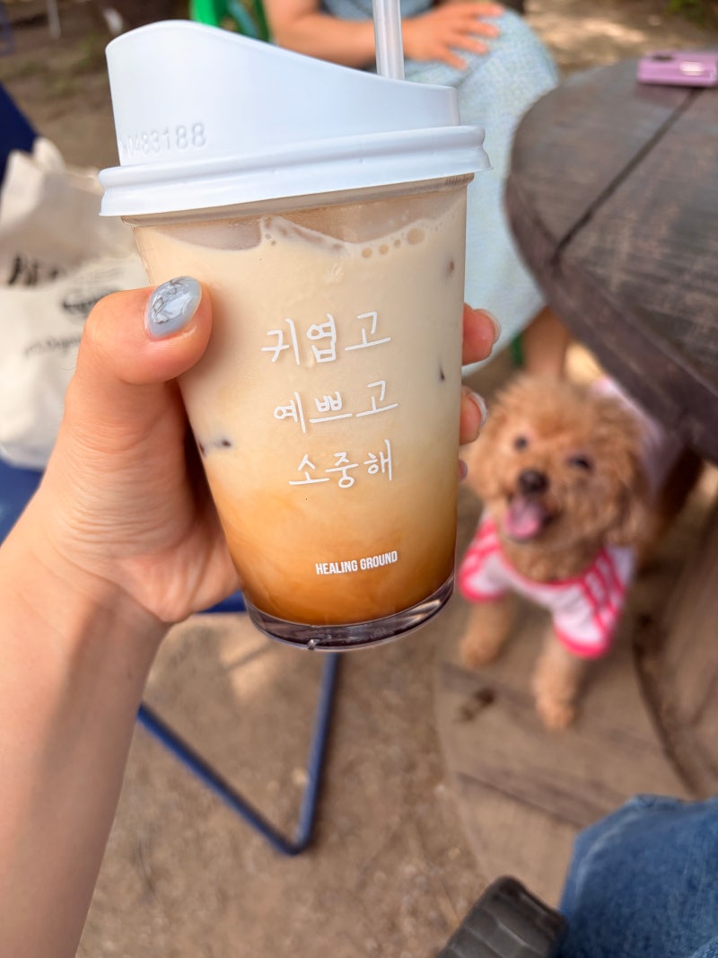 [파주 애견카페] 파주에 숨겨진 찐 숲속 로드 '힐링그라운드'