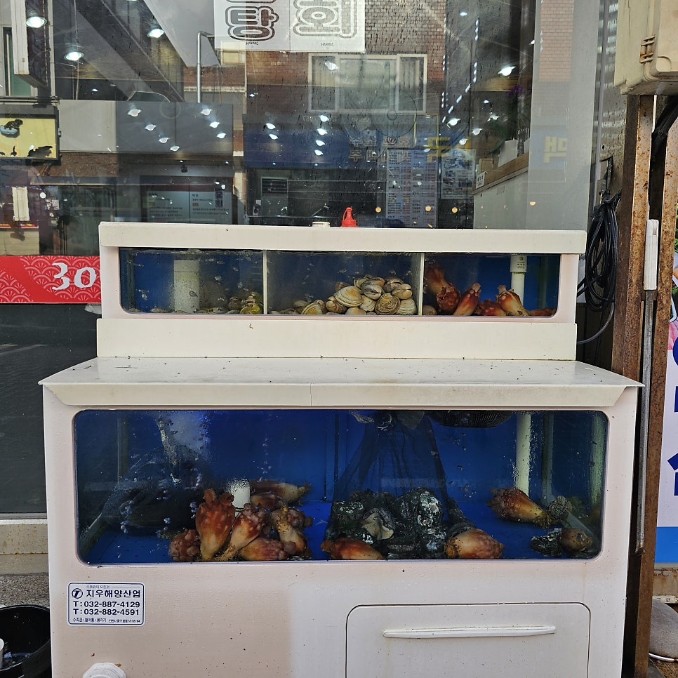 바다향 사진 3