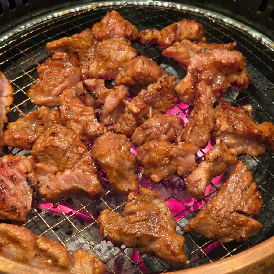 한돈소 사진 1