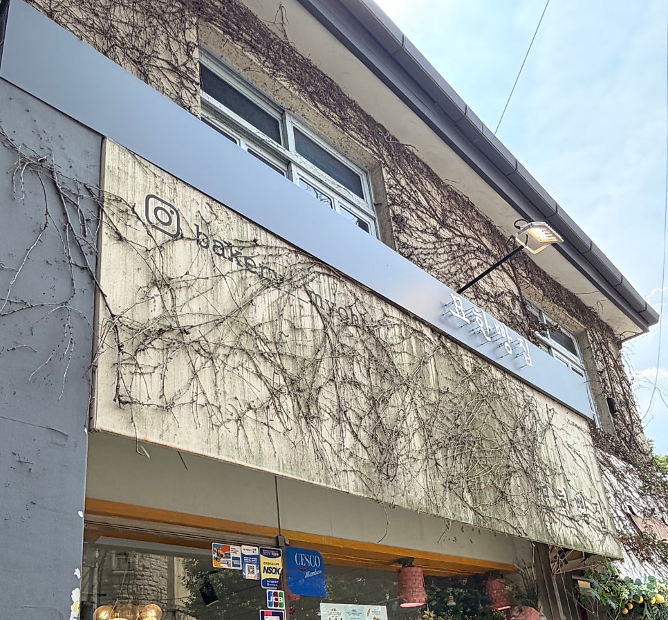 묘한빵집 사진 1