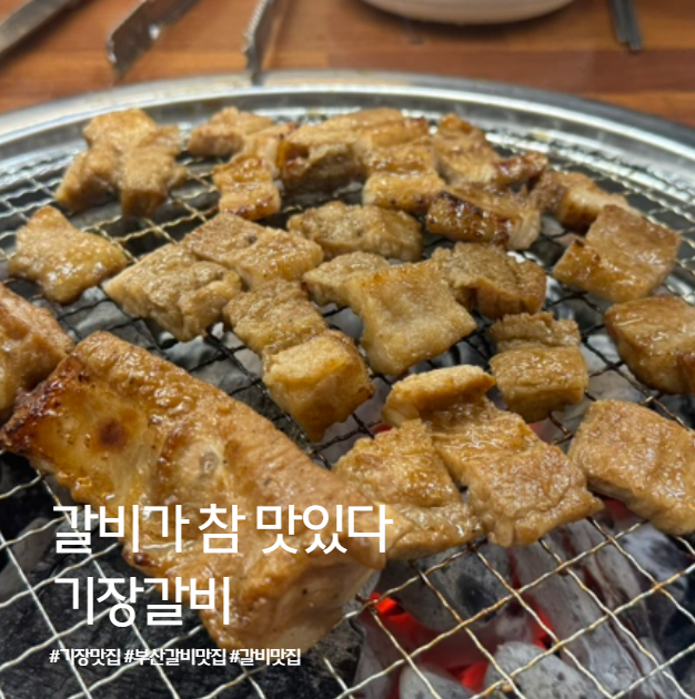 갈비가참맛있다 사진 1