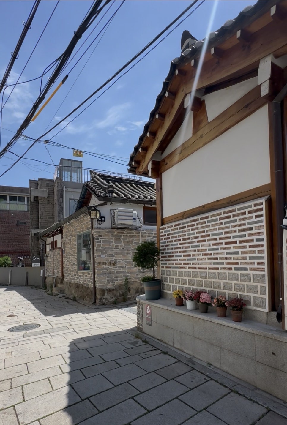 이태리총각 사진 3