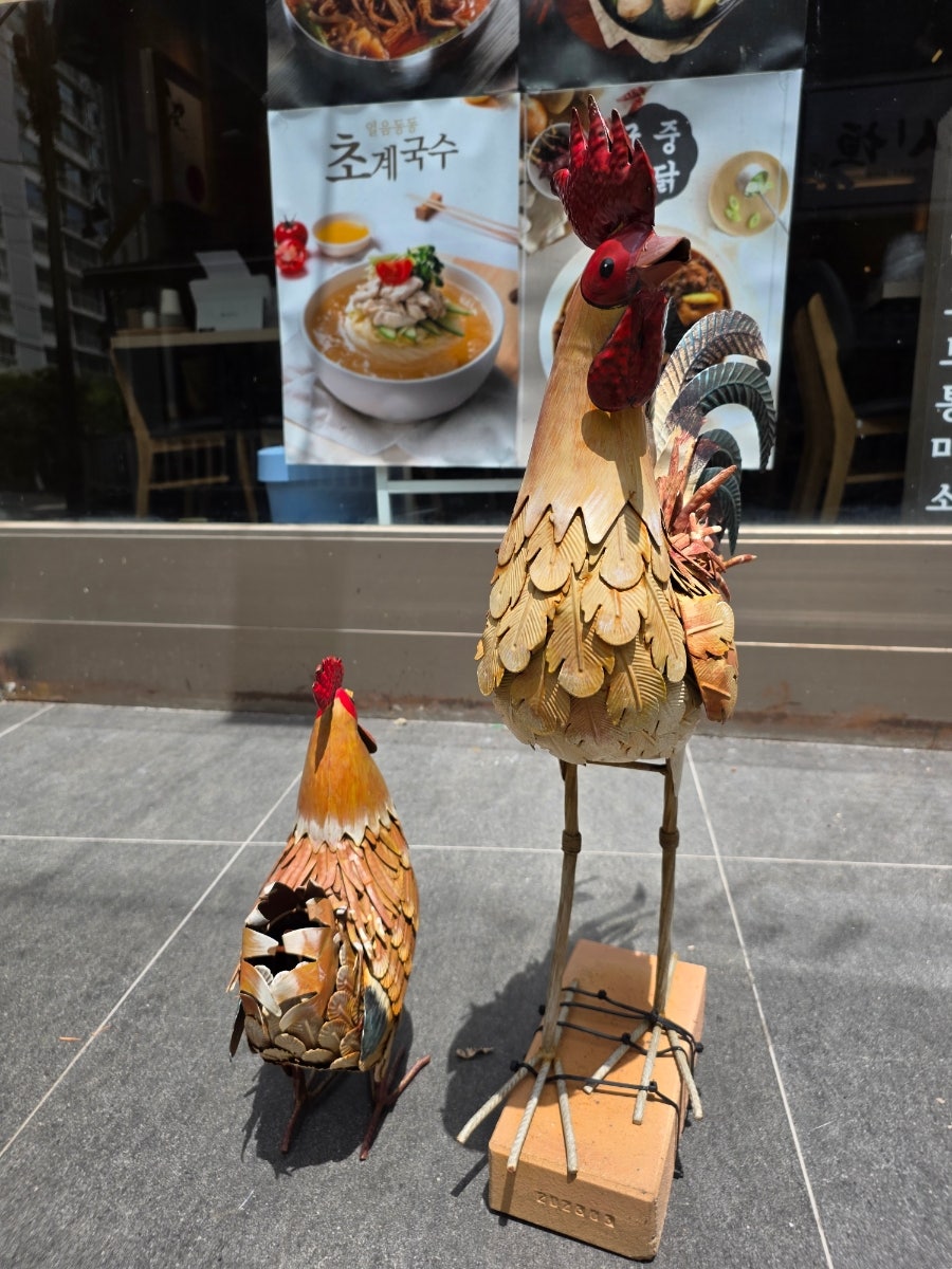 청담 미미계 사진 2